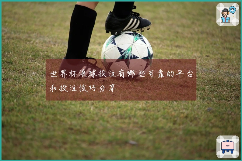 世界杯滚球投注有哪些可靠的平台和投注技巧分享