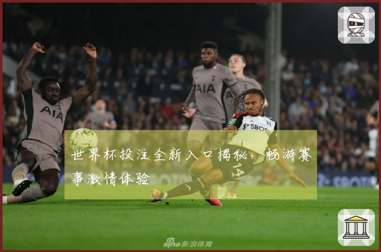 世界杯投注全新入口揭秘，畅游赛事激情体验