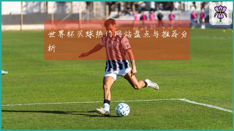 世界杯买球热门网站盘点与推荐分析