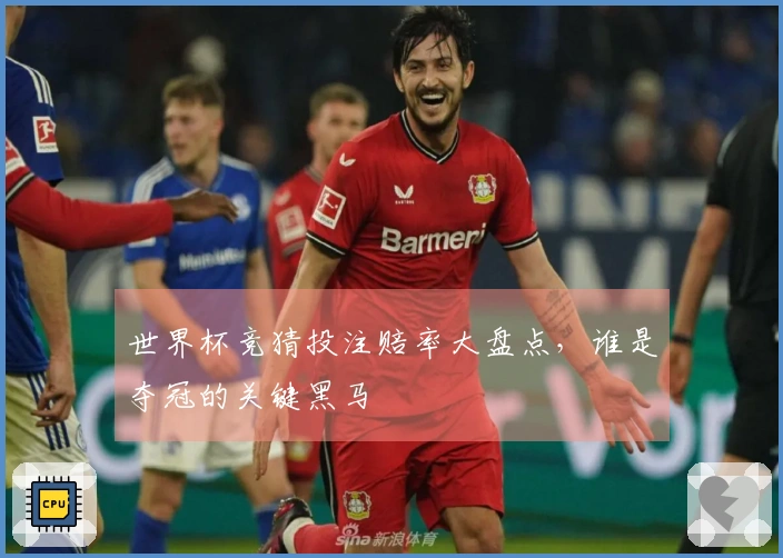 世界杯竞猜投注赔率大盘点，谁是夺冠的关键黑马