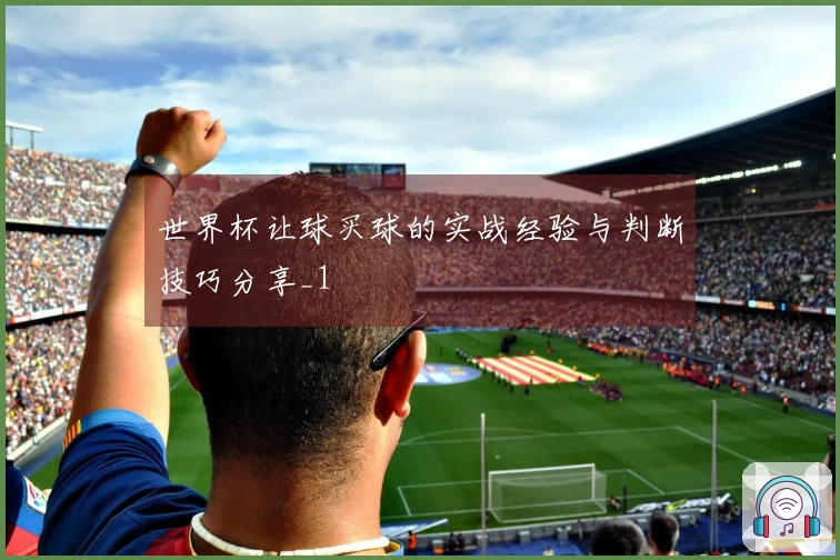 世界杯让球买球的实战经验与判断技巧分享_1