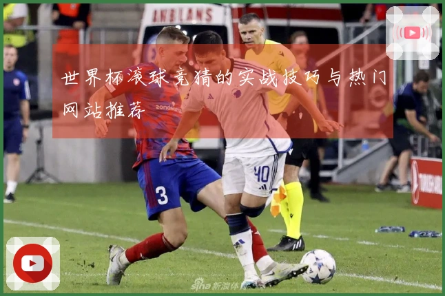 世界杯滚球竞猜的实战技巧与热门网站推荐