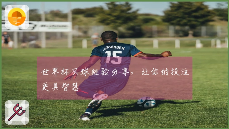 世界杯买球经验分享，让你的投注更具智慧