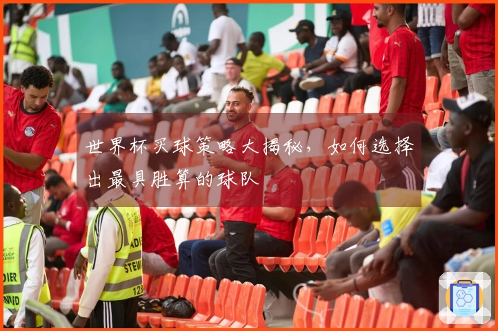 世界杯买球策略大揭秘，如何选择出最具胜算的球队