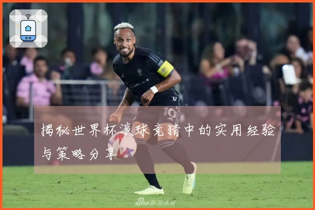 揭秘世界杯滚球竞猜中的实用经验与策略分享