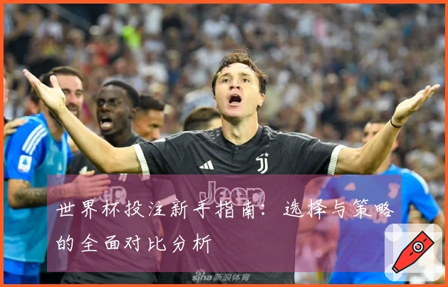 世界杯投注新手指南：选择与策略的全面对比分析