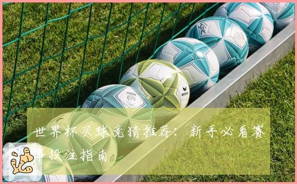 世界杯买球竞猜推荐：新手必看赛事投注指南