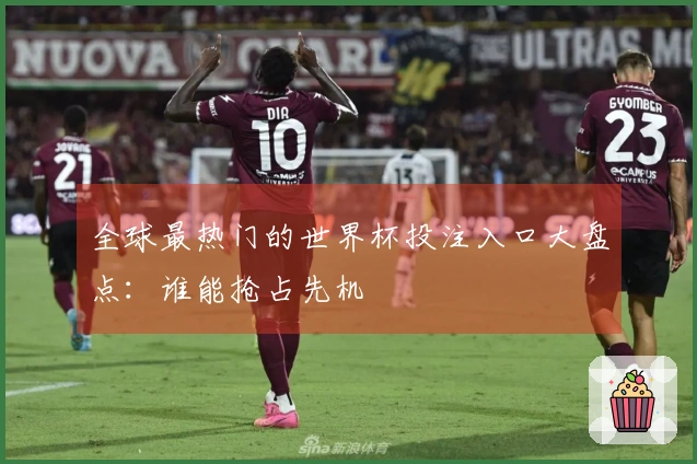 全球最热门的世界杯投注入口大盘点：谁能抢占先机
