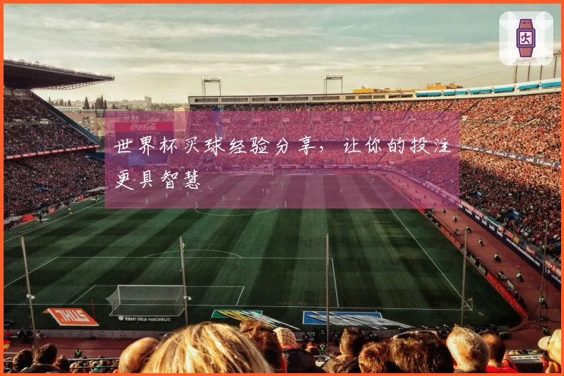 世界杯买球经验分享，让你的投注更具智慧