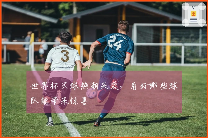 世界杯买球热潮来袭，看好哪些球队能带来惊喜