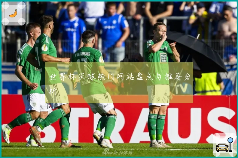 世界杯买球热门网站盘点与推荐分析