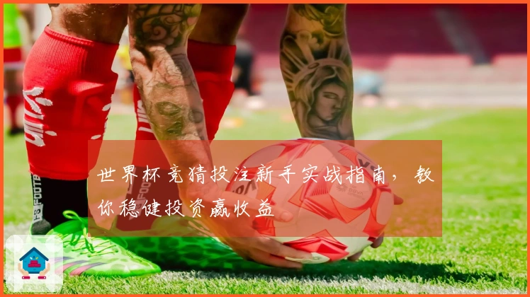 世界杯竞猜投注新手实战指南，教你稳健投资赢收益