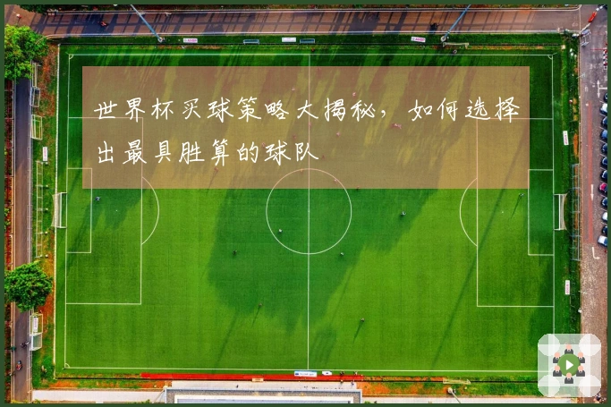 世界杯买球策略大揭秘，如何选择出最具胜算的球队