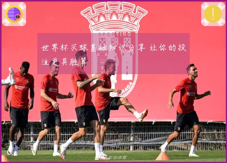 世界杯买球基础知识分享 让你的投注更具胜算
