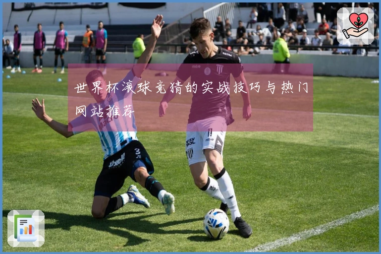 世界杯滚球竞猜的实战技巧与热门网站推荐