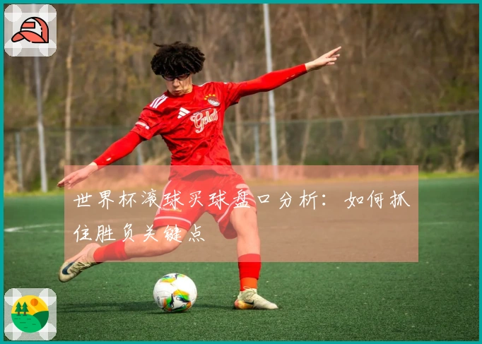 世界杯滚球买球盘口分析:如何抓住胜负关键点