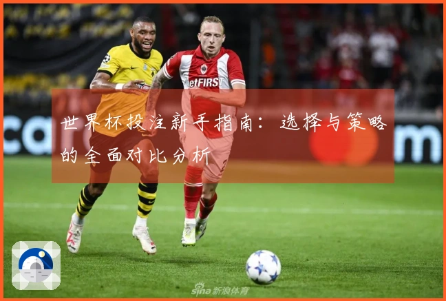 世界杯投注新手指南：选择与策略的全面对比分析