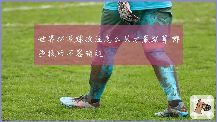 世界杯滚球投注怎么买才最划算 哪些技巧不容错过