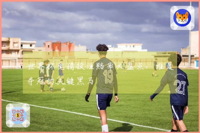 世界杯竞猜投注赔率大盘点，谁是夺冠的关键黑马